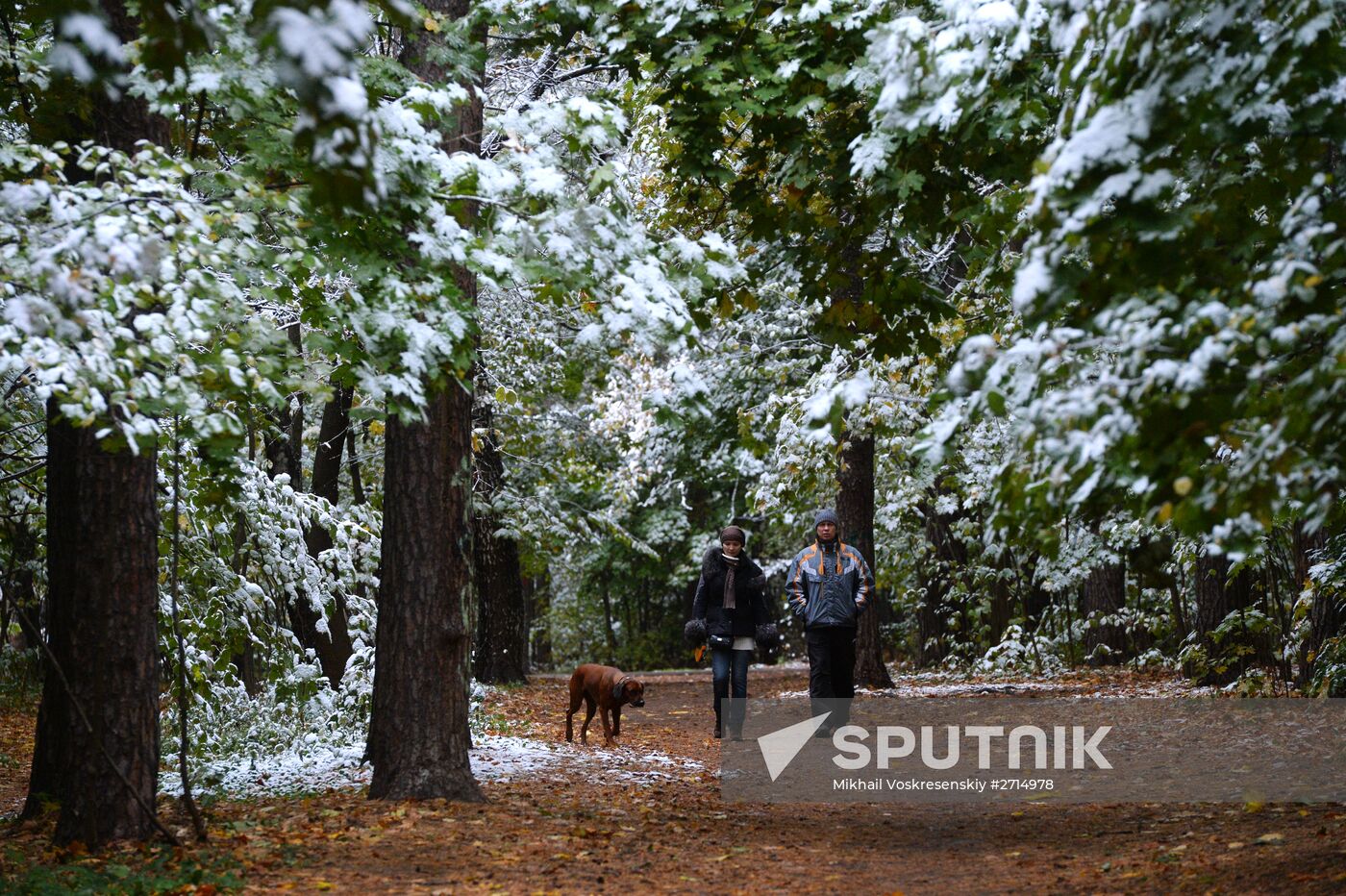 Snowfall in Moscow