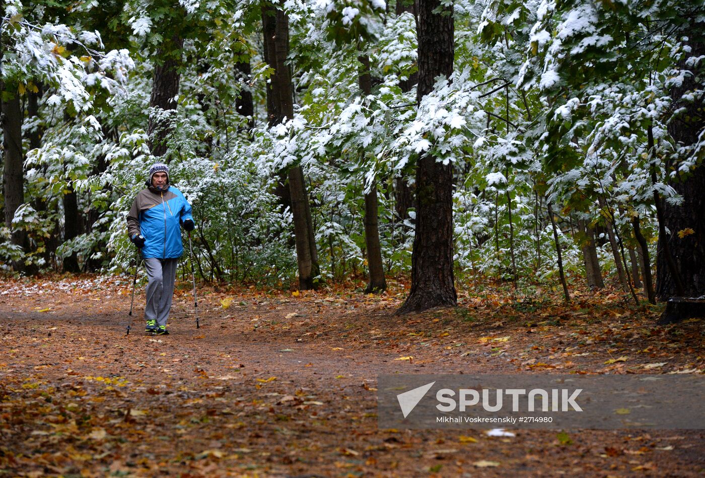 Snowfall in Moscow