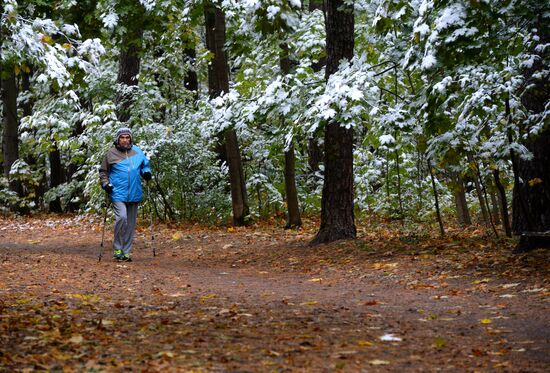 Snowfall in Moscow