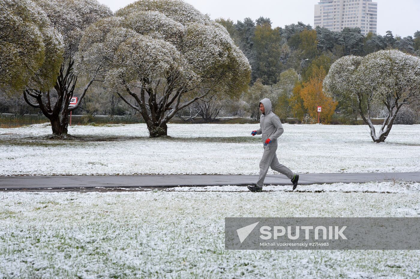 Snowfall in Moscow
