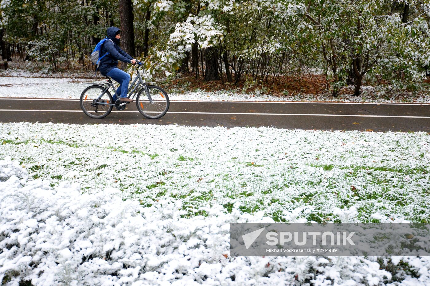 Snowfall in Moscow