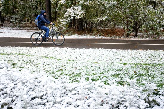 Snowfall in Moscow