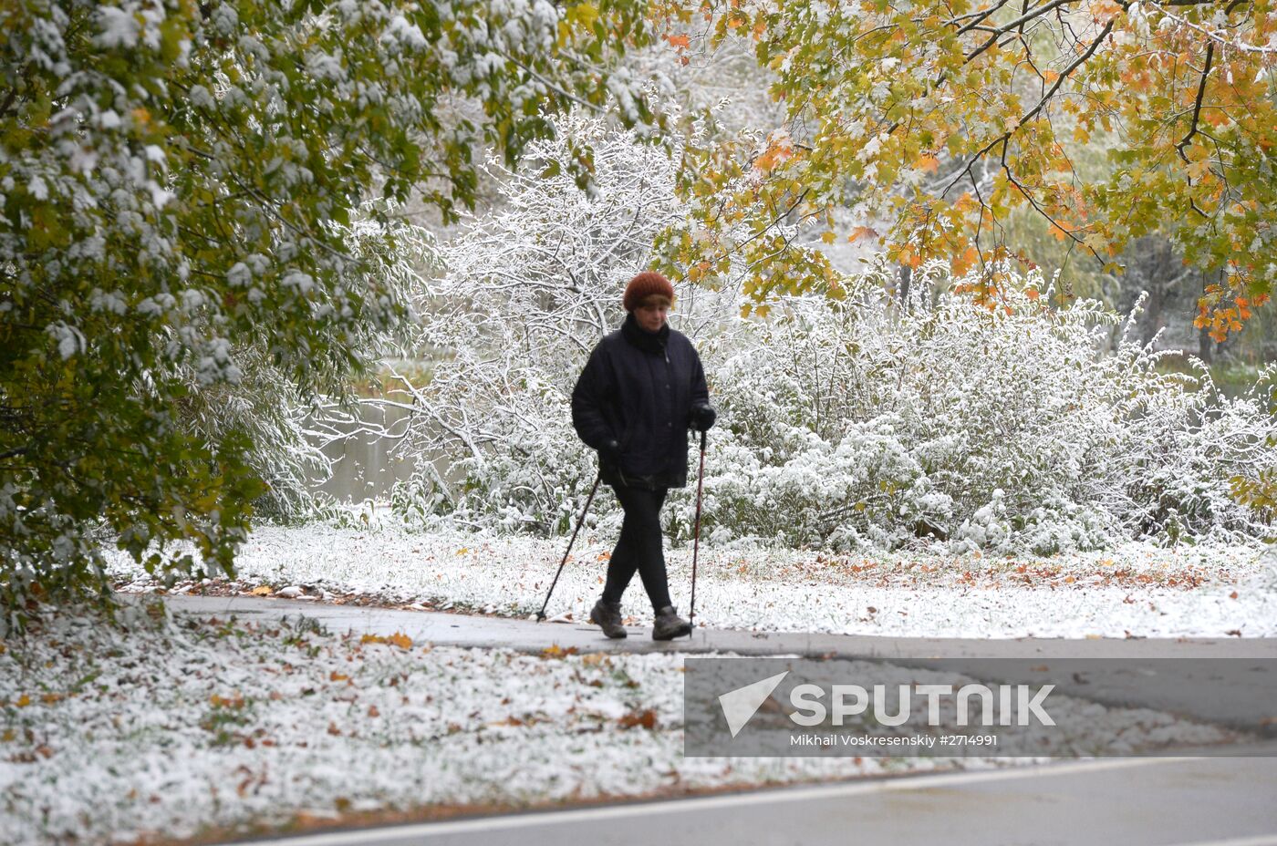 Snowfall in Moscow