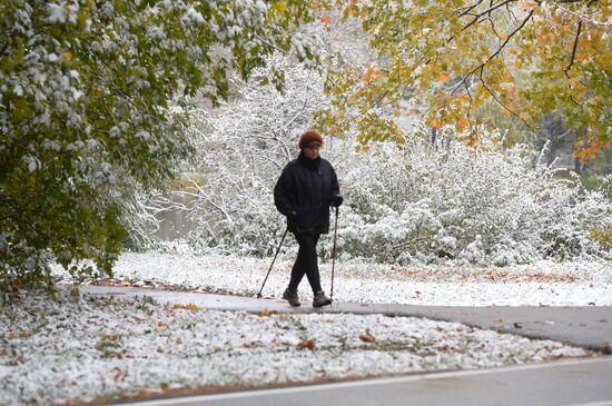 Snowfall in Moscow