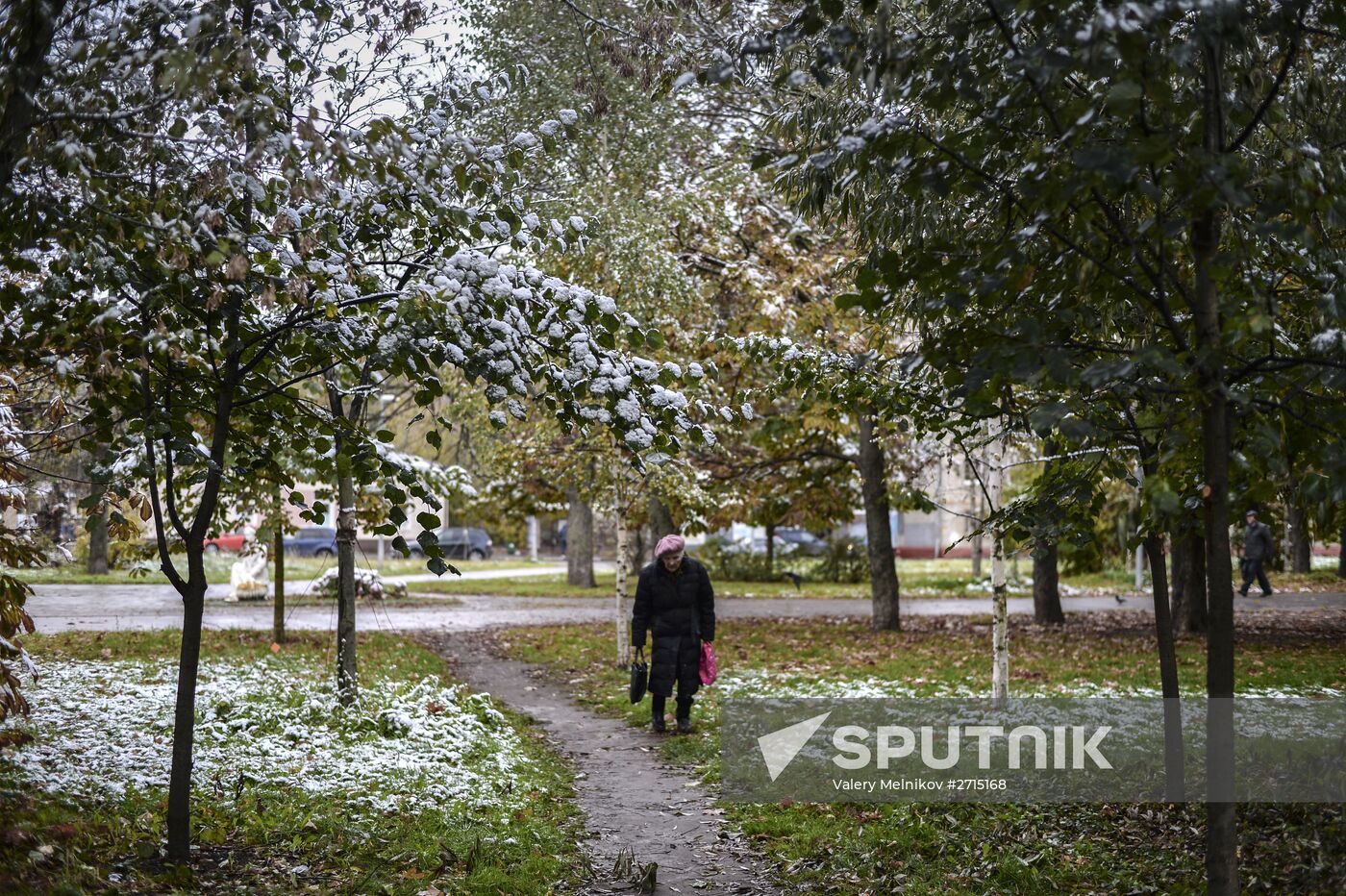 Snowfall in Moscow