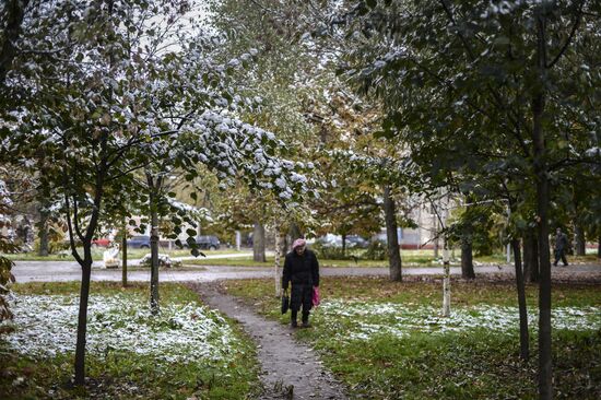 Snowfall in Moscow