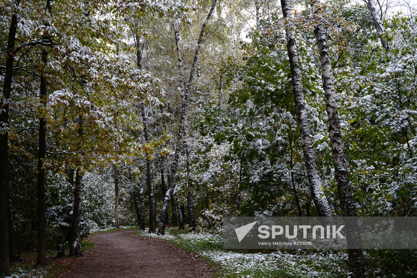 Snowfall in Moscow