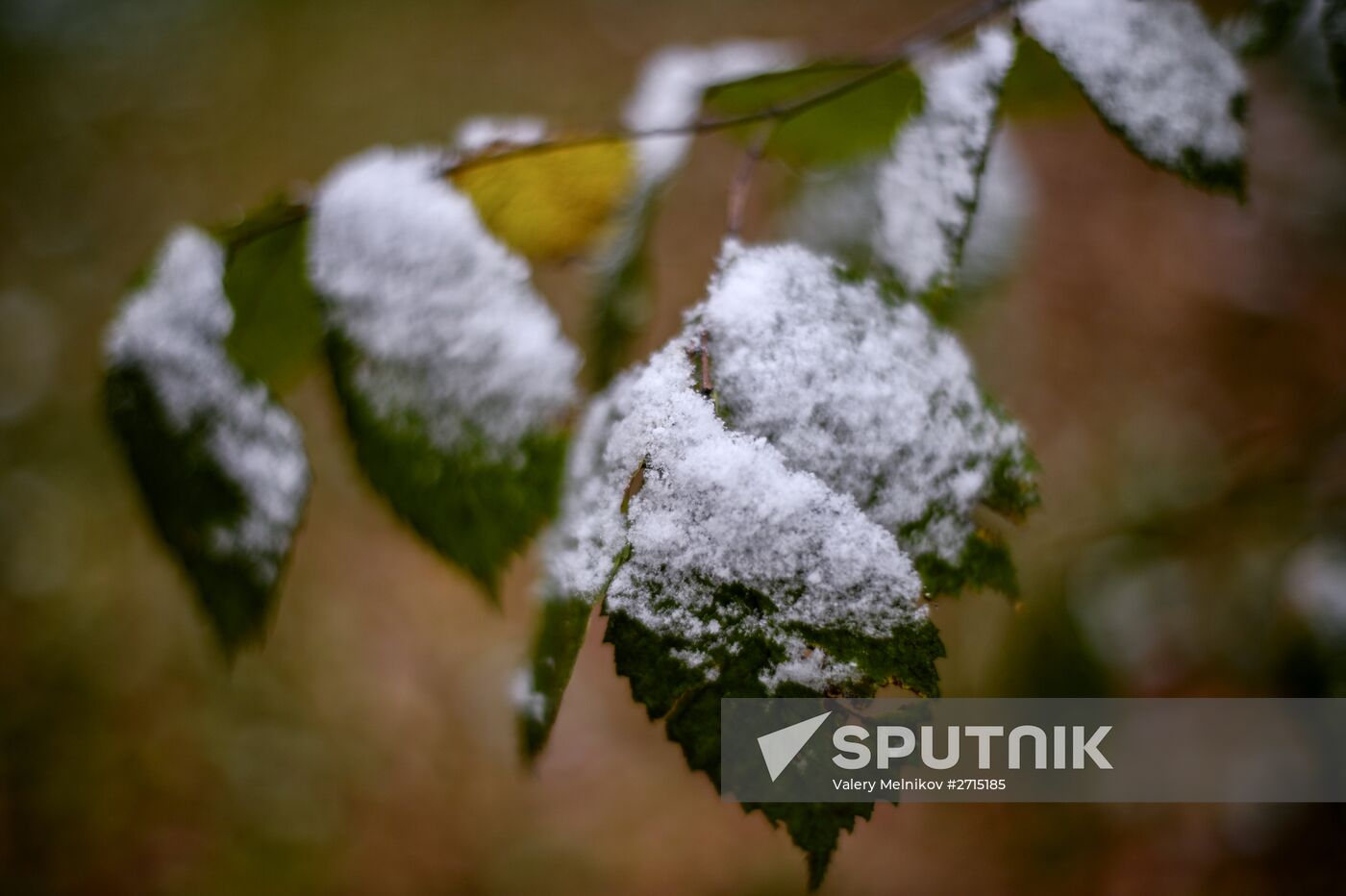 Snowfall in Moscow