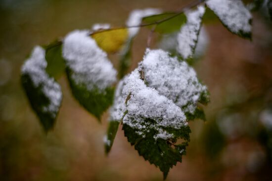Snowfall in Moscow