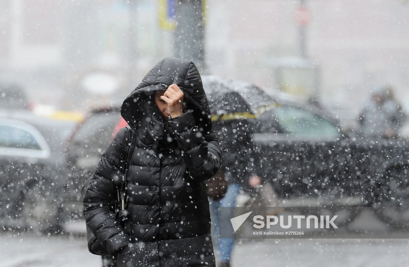 Snowfall in Moscow