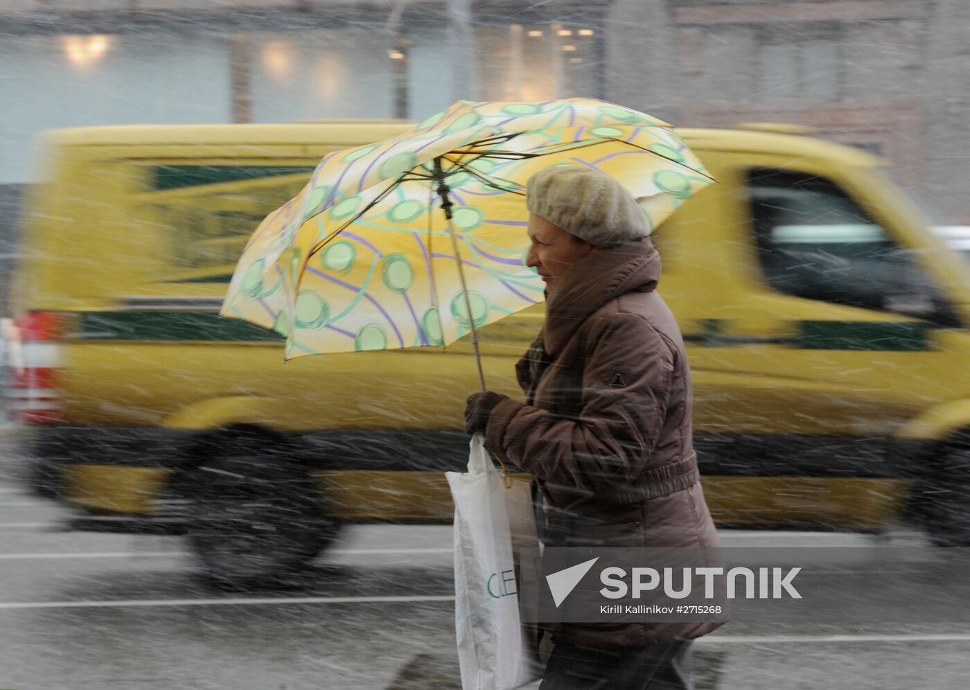 Snowfall in Moscow