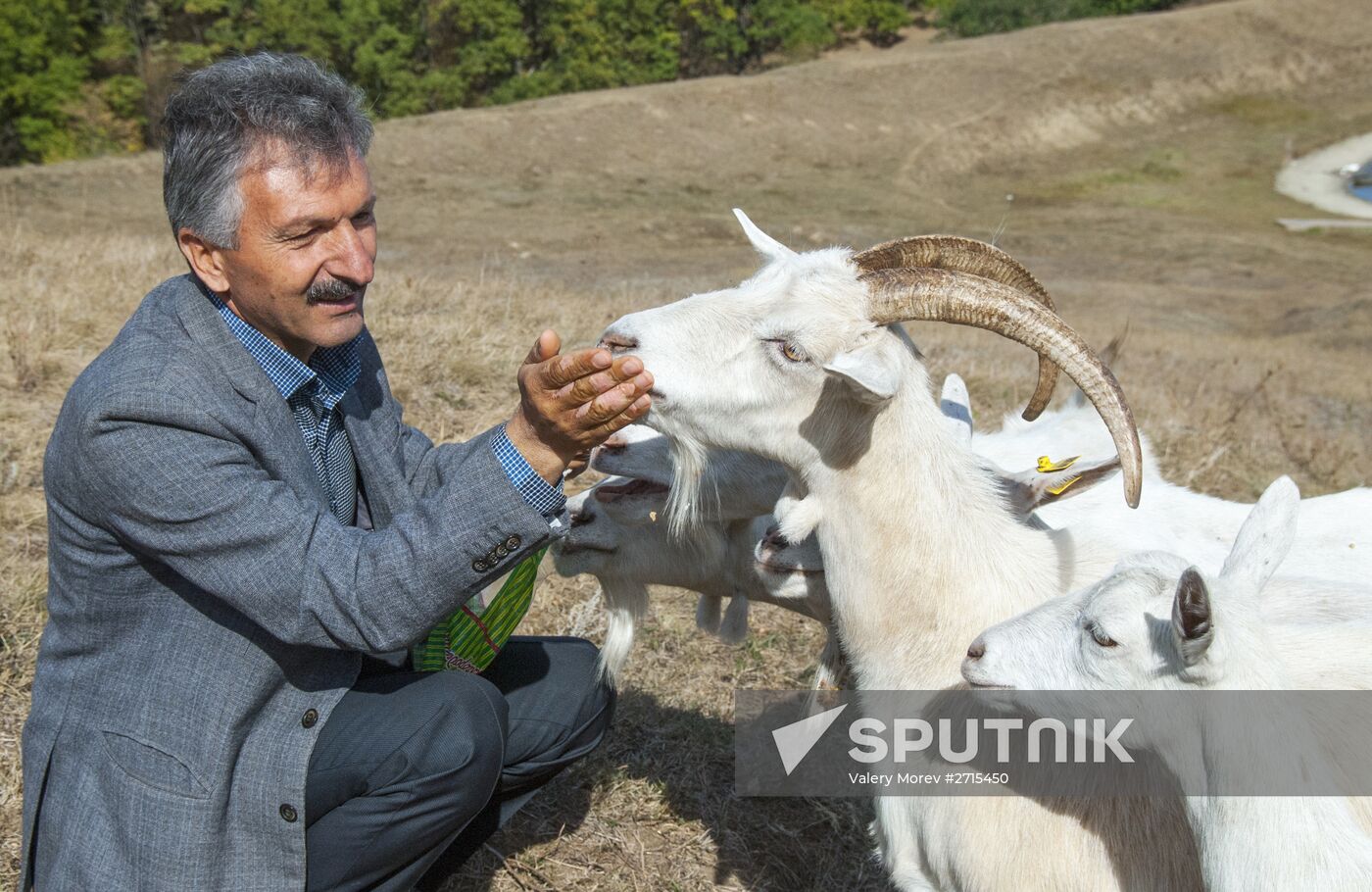 Alfa farm in Belgorod Region