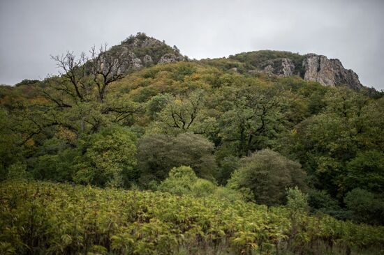 Nagorno-Karabakh