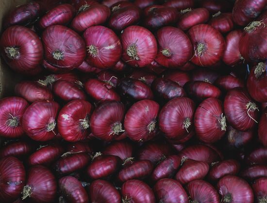 Yalta onion festival in Crimea