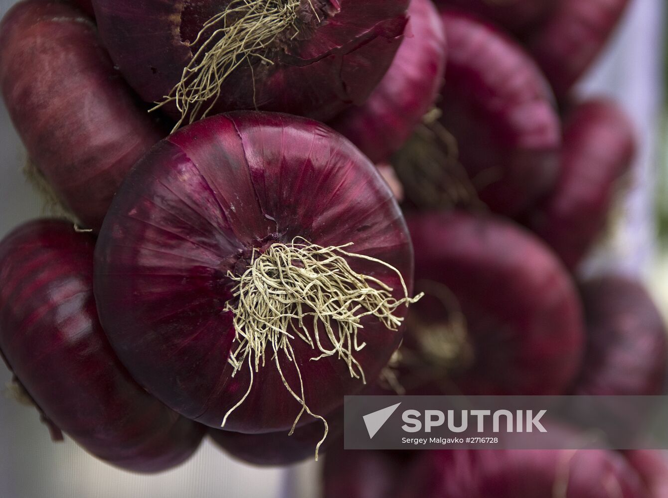 Yalta onion festival in Crimea
