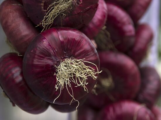 Yalta onion festival in Crimea