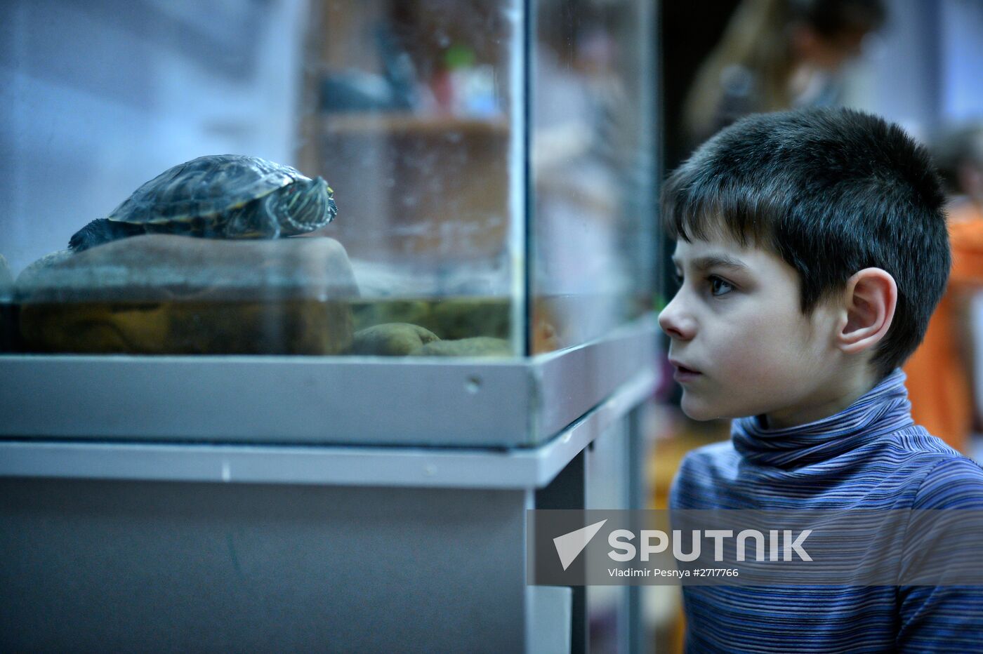 Train of Hope Program to Facilitate Adoption in Irkutsk