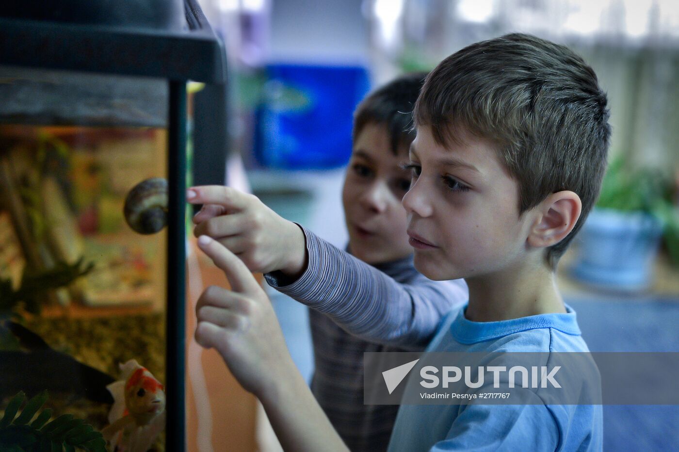 Train of Hope Program to Facilitate Adoption in Irkutsk
