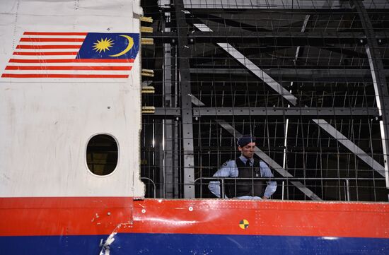 Dutch Safety Board releases report into Malaysia Airlines Flight 17 disaster