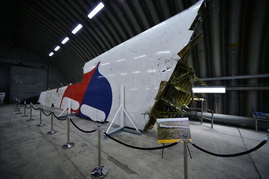 Dutch Safety Board releases report into Malaysia Airlines Flight 17 disaster