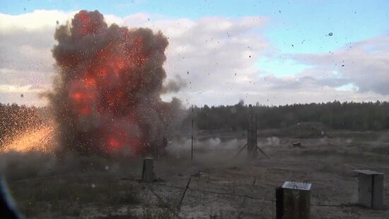 Presenting the results of the Boeing 777 crash simulation