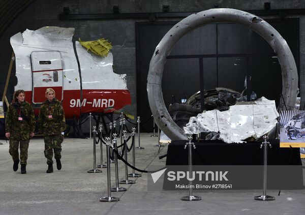 Dutch Safety Board releases report into Malaysia Airlines Flight 17 disaster