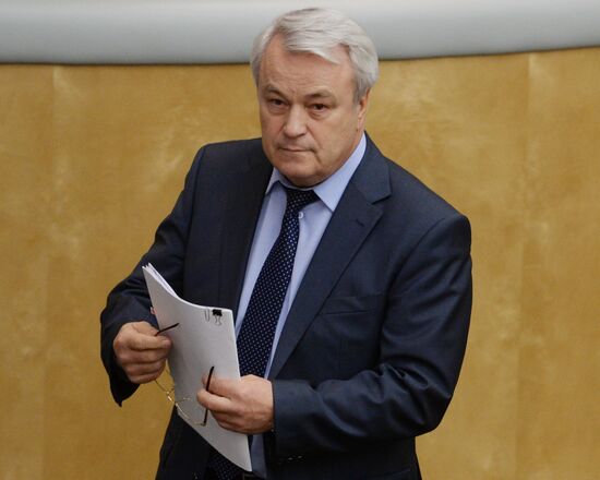State Duma plenary meeting