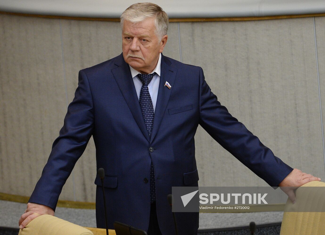 State Duma plenary meeting