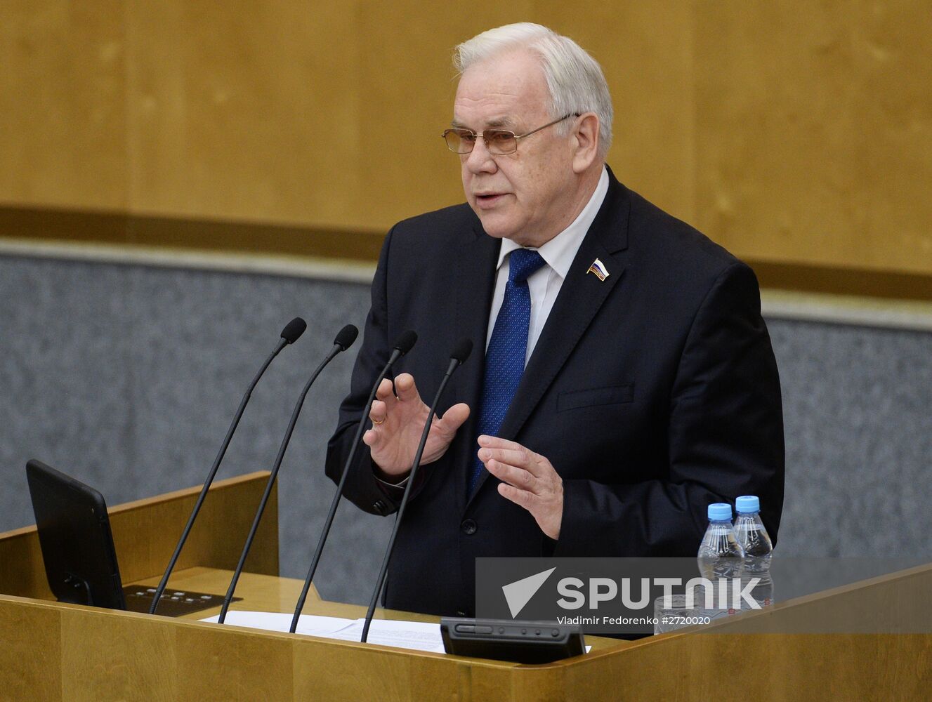 State Duma plenary meeting