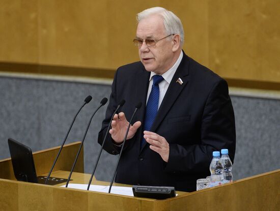 State Duma plenary meeting