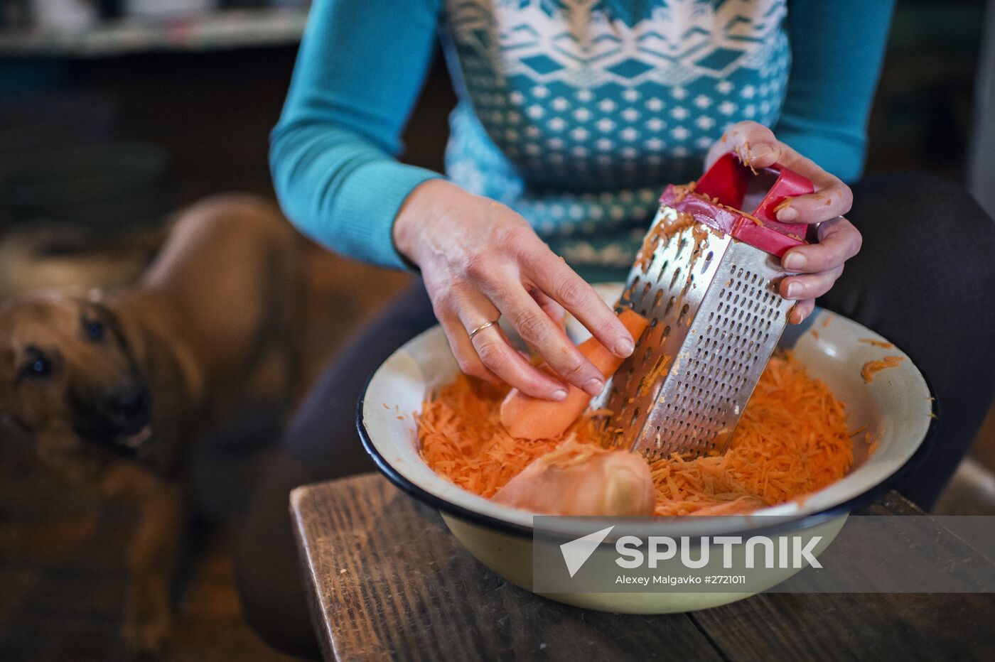 Making sauerkraut for the winter in Omsk Region