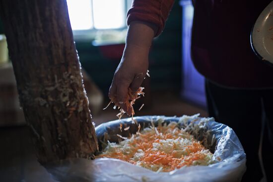 Making sauerkraut for the winter in Omsk Region