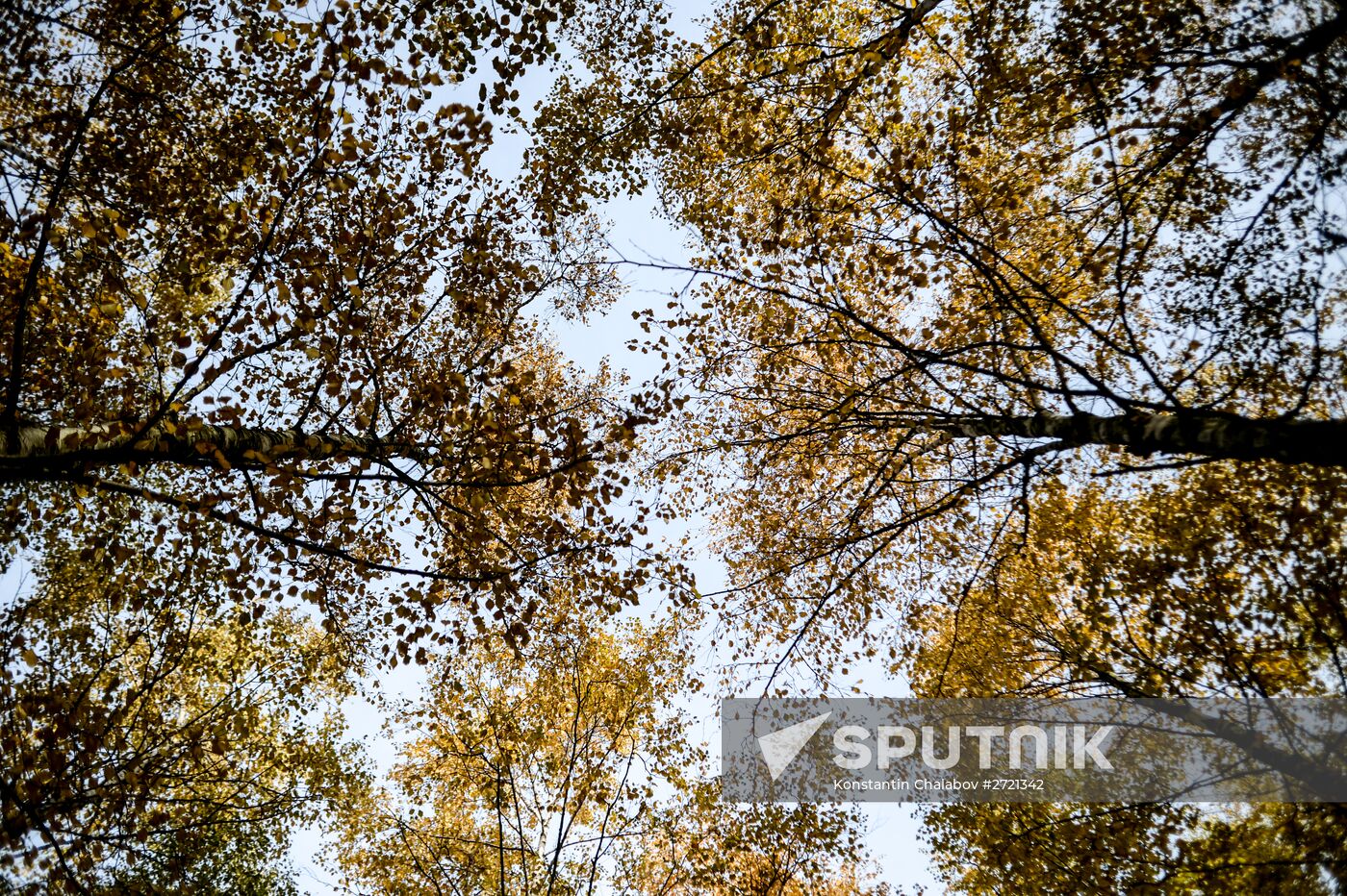 Golden fall in Veliky Novgorod
