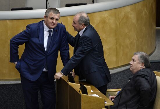 State Duma plenary meeting