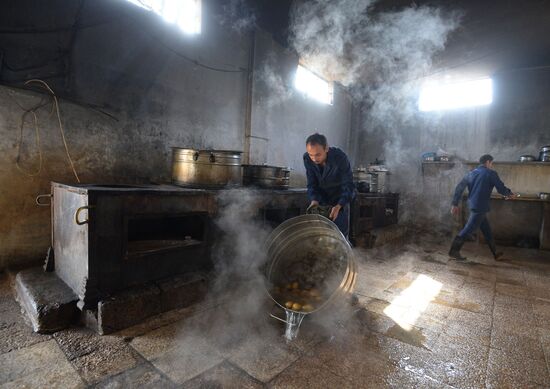 Syrian Arab Army's 2nd Corps 10th Division off Katana city, Syria