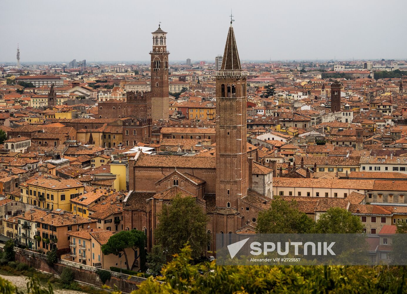 Cities of the world. Verona
