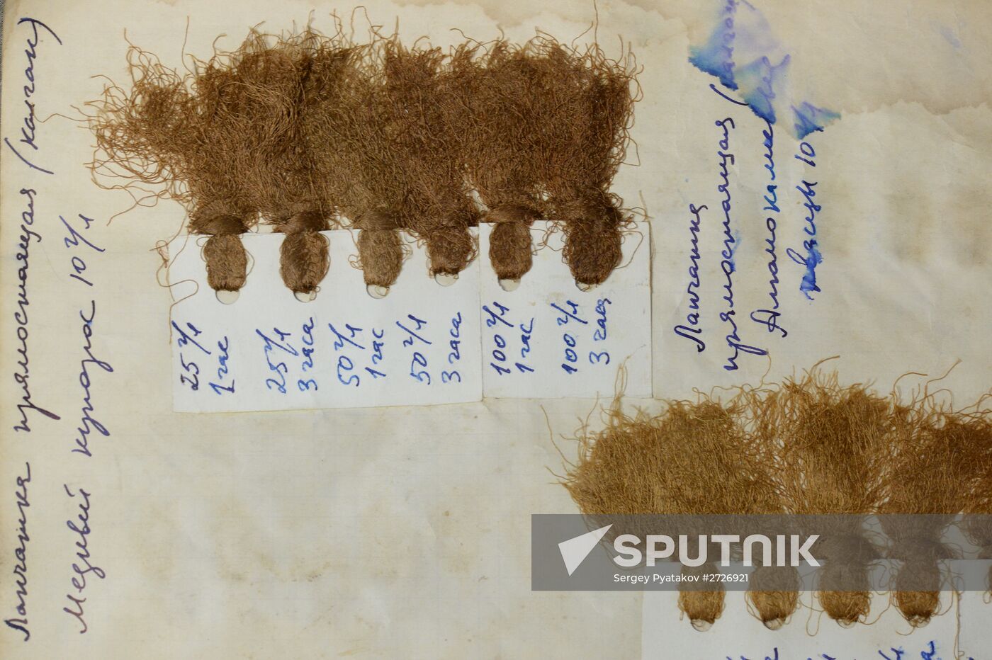 Ancient fabrics produced at Novospassky Monastery