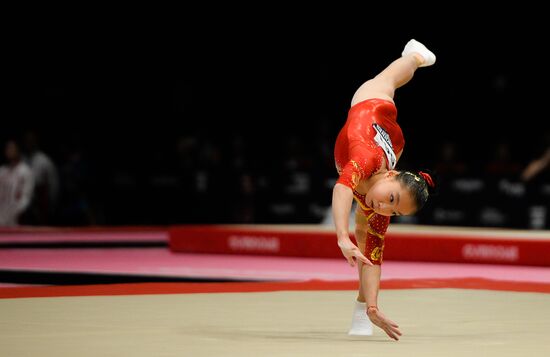 The 2015 World Gymnastics Championships. Day Five