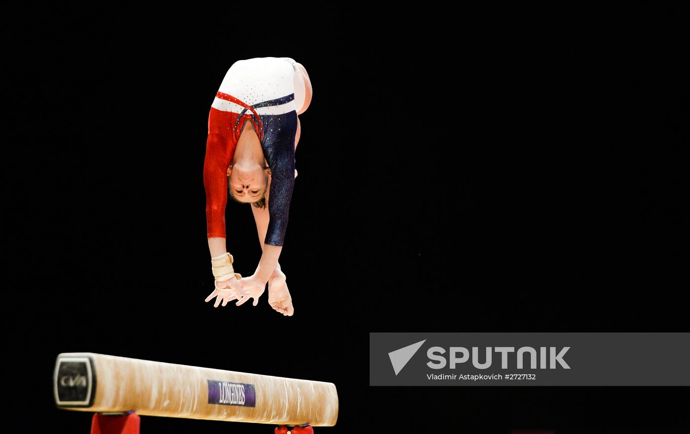 The 2015 World Gymnastics Championships. Day Five