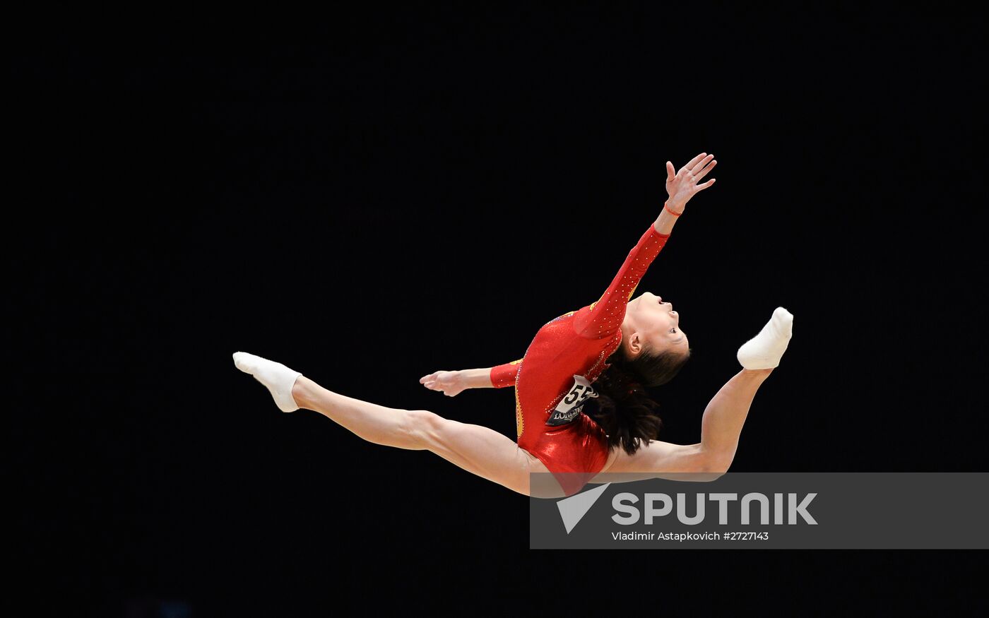 The 2015 World Gymnastics Championships. Day Five