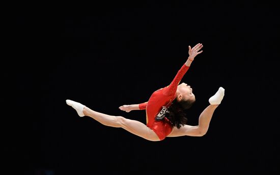 The 2015 World Gymnastics Championships. Day Five