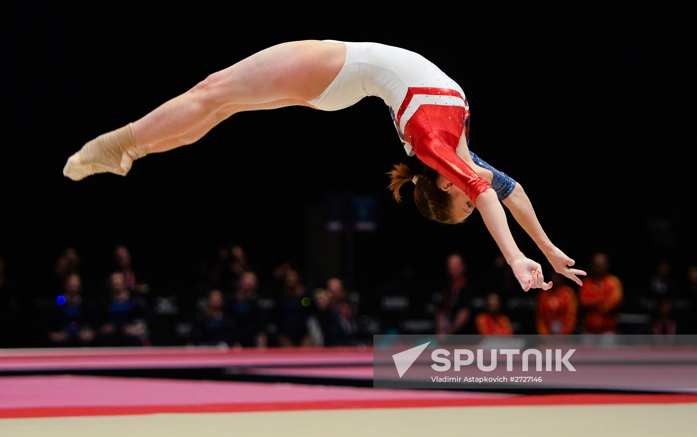 The 2015 World Gymnastics Championships. Day Five