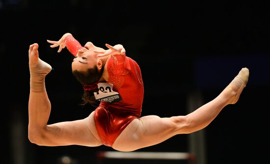 The 2015 World Gymnastics Championships. Day Five