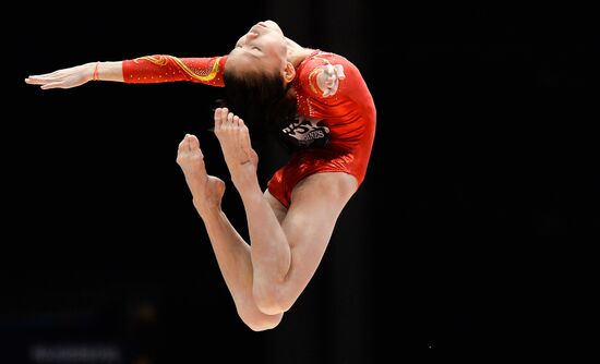 The 2015 World Gymnastics Championships. Day Five