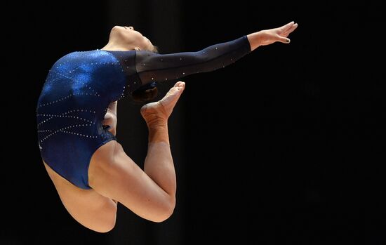The 2015 World Gymnastics Championships. Day Five
