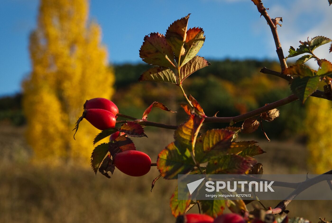 Fall in Crimea