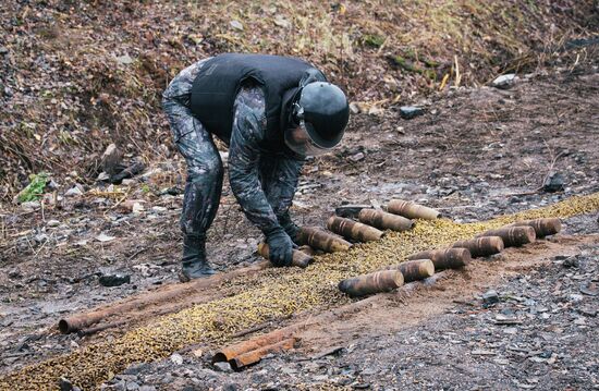 Nondetonating explosive ordnance disposal