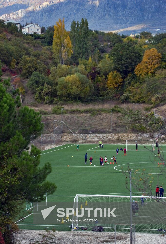 Fall in Crimea