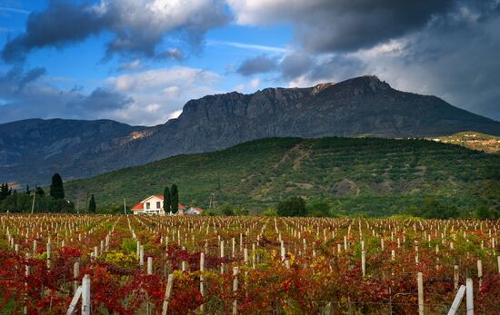 Autumn in Crimea