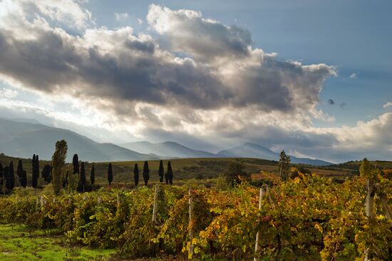 Autumn in Crimea